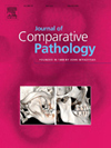 JOURNAL OF COMPARATIVE PATHOLOGY杂志封面